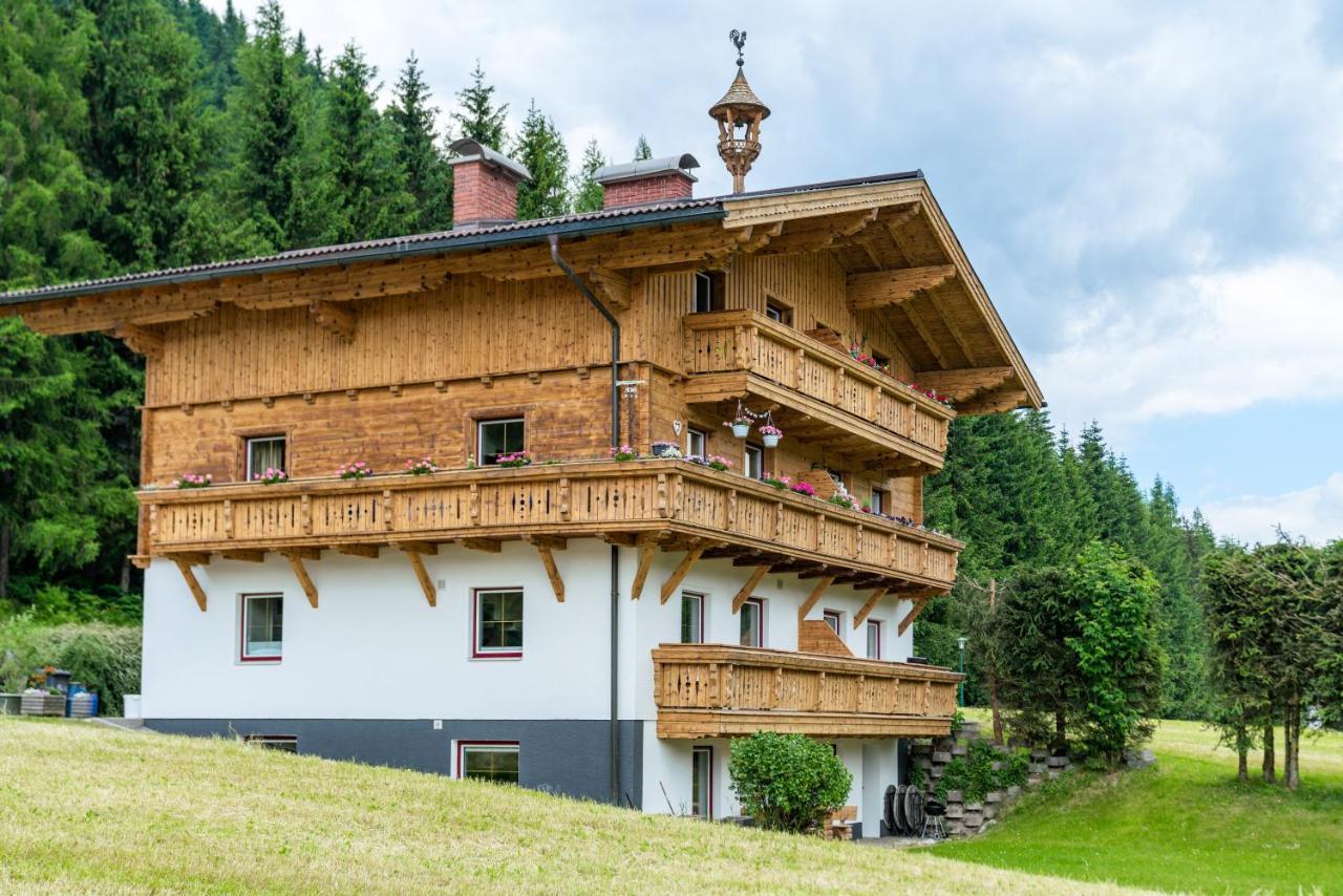 Kesselgrubs Apartements Ski & Badegluck Eben Im Pongau Kültér fotó